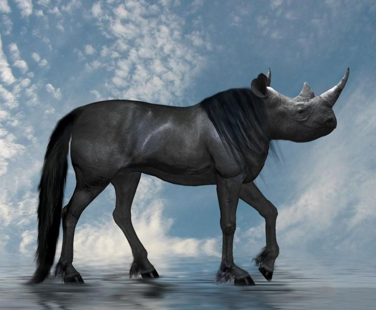 Rhinocorn