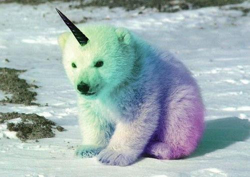 Baby Polar Unicorn