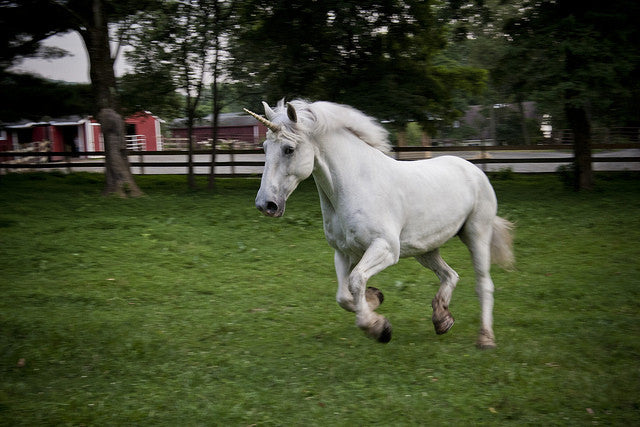 Standard Unicorn
